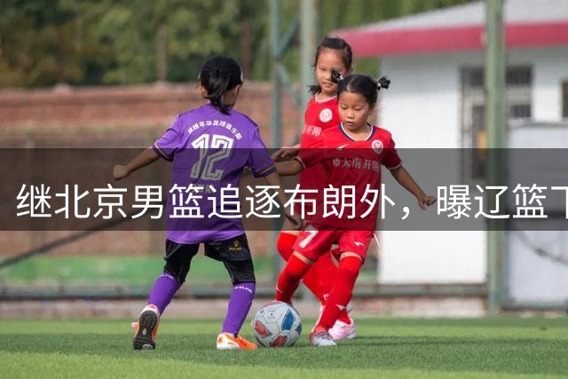 继北京男篮追逐布朗外，曝辽篮下场竞价，李楠或被截胡，好戏来了
